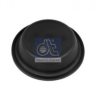 DAF 0691602 Membrane, spring-loaded cylinder